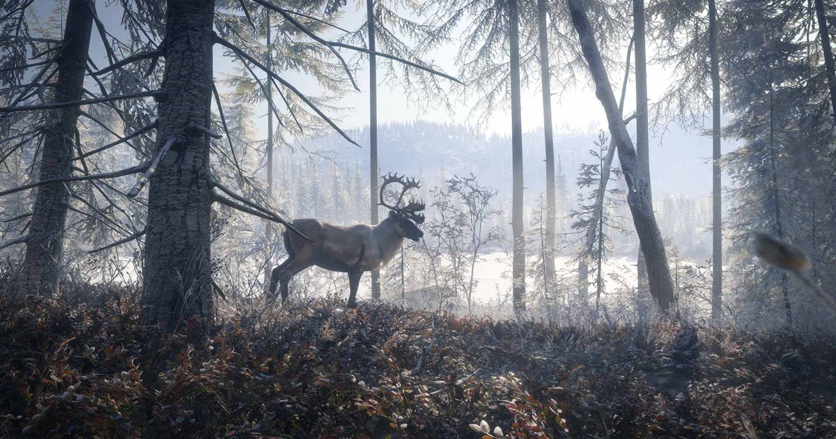 Call of the 2025 wild video game