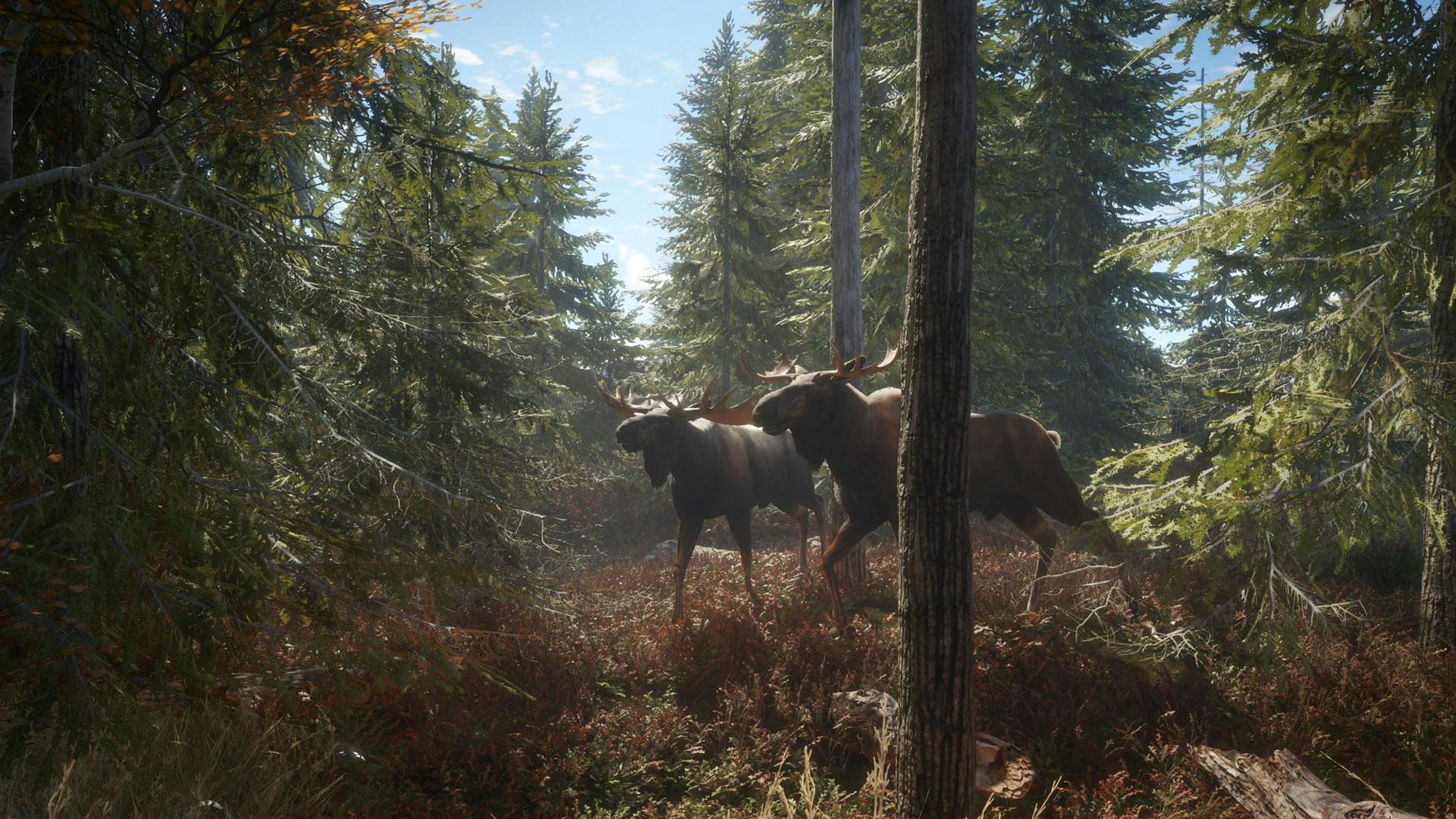 How long is The Hunter: Call of the Wild?