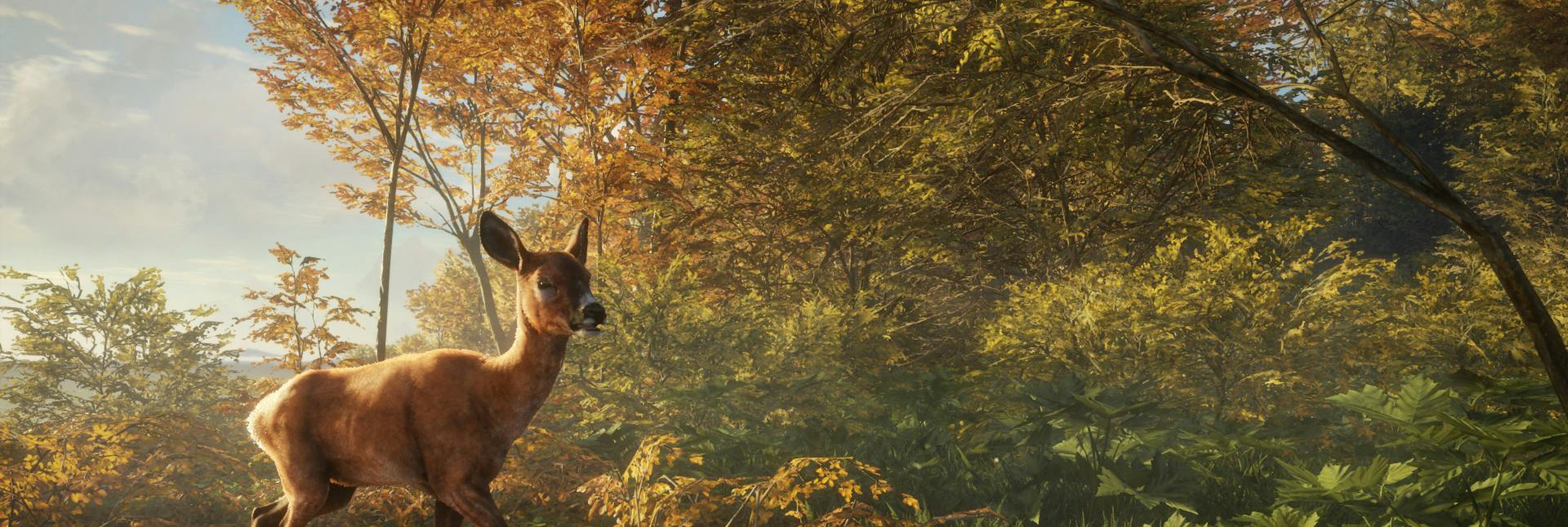 theHunter: Call of the Wild is Available Now! - Avalanche Studios