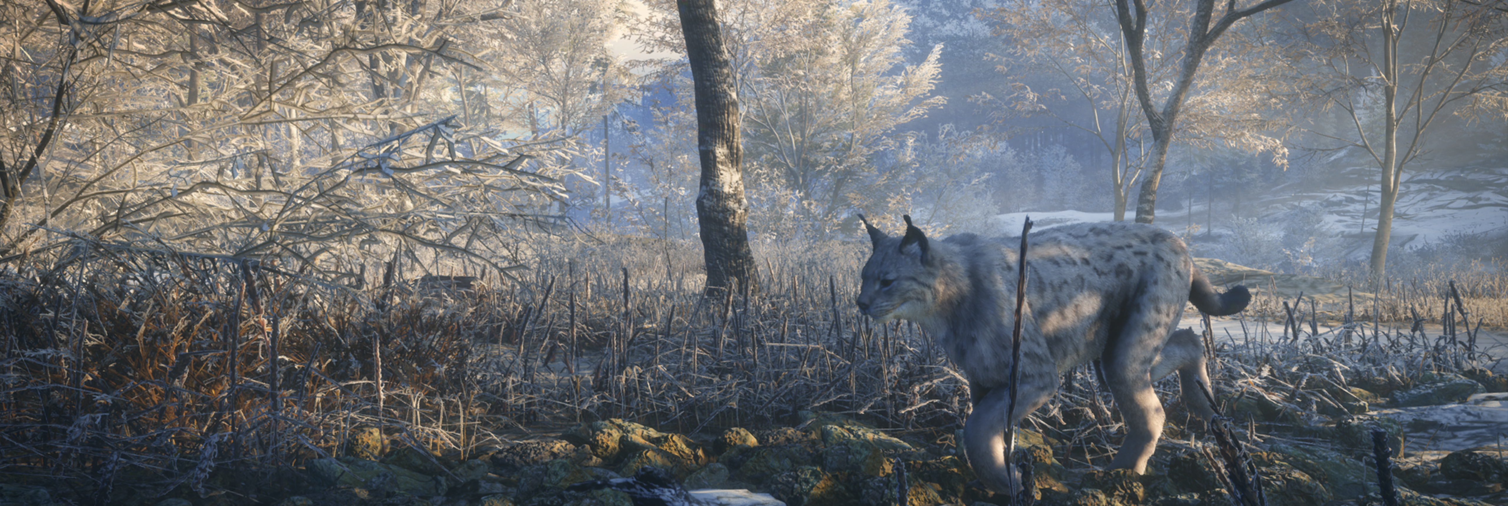thehunter call of the wild coyote locations