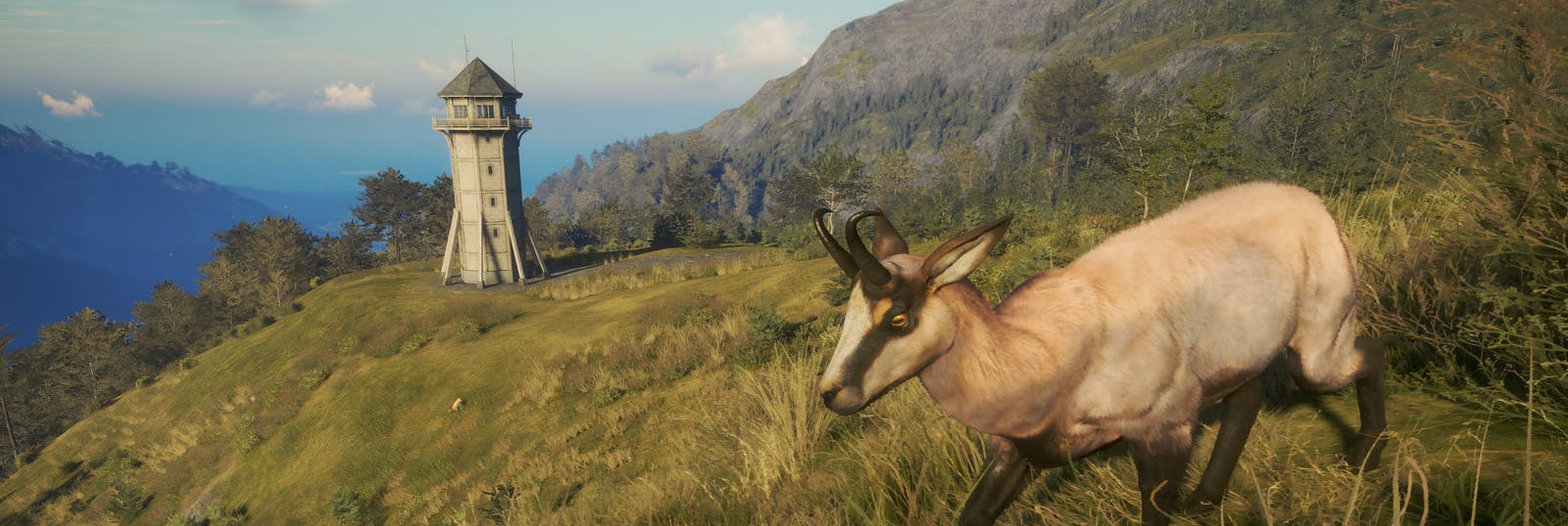 Chamois, TheHunter: Call of the Wild Wiki