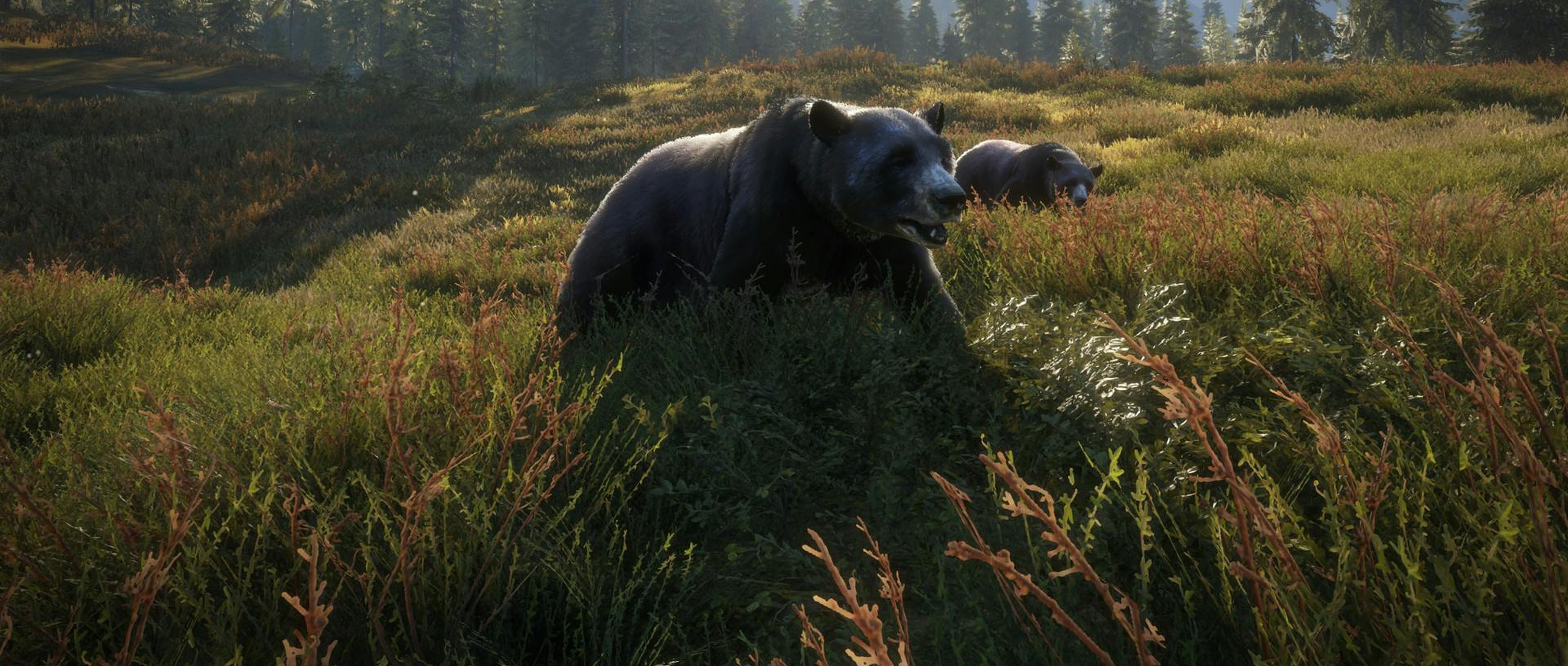 How theHunter: Call of the Wild simulates wild animals